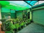 (NR790) Luxury Furnished Three Storey House for Rent in Dehiwala