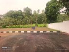 ( NSB ) FADDY FIELD LOCATION LAND FOR SALE IN PANNIPITIYA