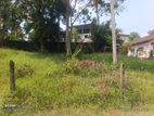 (nsb ) Highly Residential Land for Sale in Makubhura