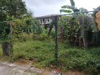 (NSB) LAND FOR SALE IN PALAWATTHA