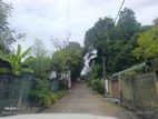 (NSB) RESIDENTIAL LAND FOR SALE IN PALAWATTHA