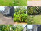 (NSB) RESIDENTIAL LAND FOR SALE IN PANNIPITIYA