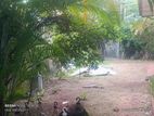 (NSB) RESIDENTIAL LAND FOR SALE MOUNT LAVINIA