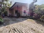 (NSB) SINGLE STORY HOUSE FOR SALE IN PILIYANDALA ROAD