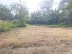 (NSB)VALUABLE LAND FOR SALE PALAWATTHA