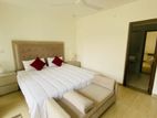 Nugegoda : 11 A/C bedrooms fully furnished Hotel available for Rent