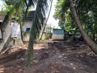 Nugegoda : 13.7 perches Land for Sale at Thalapathpitiya