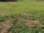Nugegoda 14.2 P Prime Residential Land for Sale in Mirihana