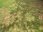 Nugegoda : 14.26 perches Land for Sale at Pagoda