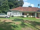 Nugegoda, 160 Perches (01 Acre) of Land with a Large Old House for Sale