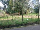 Nugegoda, 160 Perches (01 Acre) of Land with a Large Old House for Sale