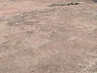 Nugegoda : 19.87 Perches Land for Sale
