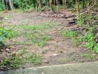 Nugegoda : 20.25 perches Land with House for Sale
