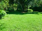 NUGEGODA : 25 PERCHES LAND WITH HOUSE FOR SALE
