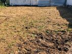 NUGEGODA : 29.3 PERCHES PRIME LAND FOR SALE