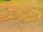 NUGEGODA : 7.5 PERCHES PRIME LAND FOR SALE IN PAGODA