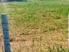 NUGEGODA : 8 PERCHES PRIME LAND FOR SALE