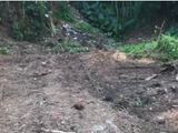 Nugegoda : 9.25P Highly Residential Land for Sale in Pepiliyana