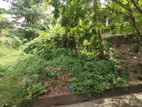 NUGEGODA : 9.5P VALUABLE LAND FOR SALE in Mirihana