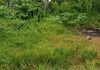 Nugegoda, Bare Land For Rent In Heart Of the City (MG1195) - Widok 2