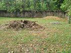 Nugegoda - Chapel Road 13.5 Perches Land for Sale