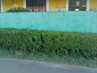 Nugegoda-Kohuwala 6 Perches of Land with and Old House For Sale