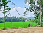 Nugegoda Land for Sale