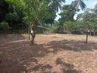 Nugegoda Nawala Road 11 Perches Land For sale