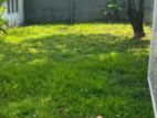 ☆ Nugegoda Pagoda Road Land for Sale