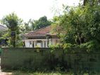 Nugegoda Papiliyana 30 Perches Land With Old House For sale