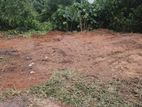 Nugegoda Poorwarama Road 11.75 p Land For Sale