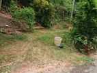 Nugegoda Thalapathpitiya Land with House for Sale