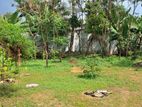 Nugegoda Walawwatta Road 7 Perches Bare Land For SALE