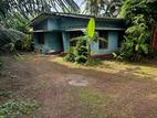 Nugegoda Wijerama 42 Perch Land for Very Urgent Sale