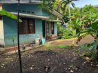 Nugegoda Wijerama 42 Perch Land for Very Urgent Sale