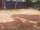Nugegoda Wijerama Commercial Land for Sale ( RLS - 794 )