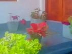 ( NUR1380) Ground floor house in Nugegoda