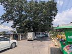 නුවර කටුගස්තොටින් සොඳුරු බිම් කොටසක් විකිණීමට