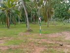 නුවර පාරට 100m දුරින් නිට්ටඹුව ඉඩමක් විකිණීමට