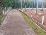 නුවර පාරට ආසන්නව යක්කලින් බිම් කොටස්