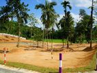 නුවර පාරට ළගින් දංඕවිටින් වටිනා ඉඩමක් - SE 13