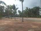 නුවර පාරට මීටර් 100 යි ,නිට්ටඹුව