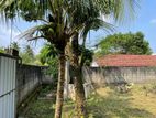 නුවර පාරට මීටර් 450 වටිනා ඉඩමක්