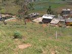 Nuwara Eliya : 14.2 perches Land for Sale at Padinawala