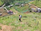 NUWARA ELIYA : 15 PERCHES LAND FOR SALE IN PADINAWELA
