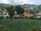 NUWARA ELIYA : 20P PRIME LAND FOR SALE at Black Pool