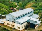 Nuwara Eliya : 262 Acer running Tea Estate and factory for Sale