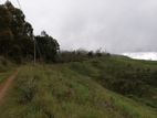 Nuwara Eliya : 40 P Holiday Resort Land for Sale with excellent View