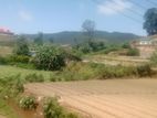 Nuwara Eliya : 59 perches Hotel Land for Sale at Hawaeliya
