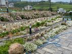 Nuwara Eliya : 6BR (87 P) New Luxury Hotel for Sale in Labukale